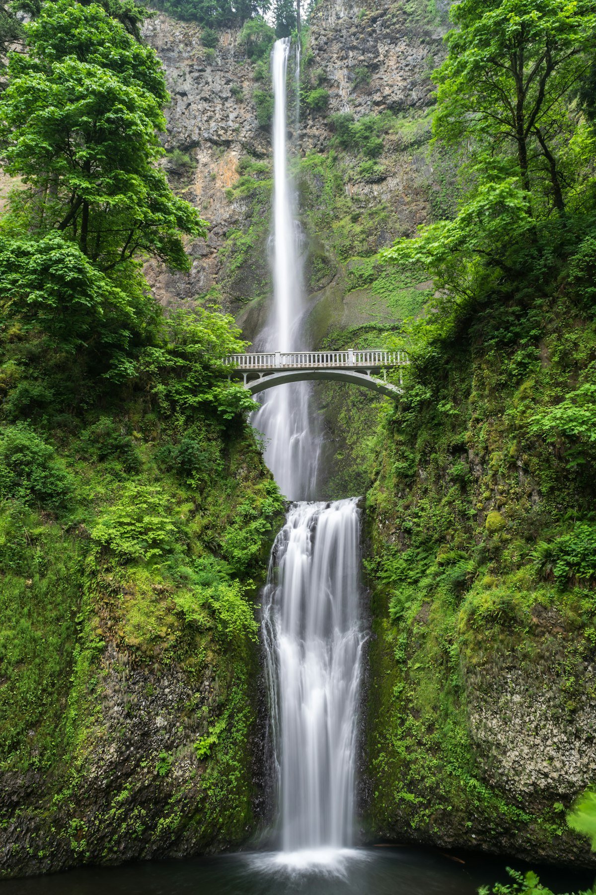 Materuni Waterfalls & Coffee Tour