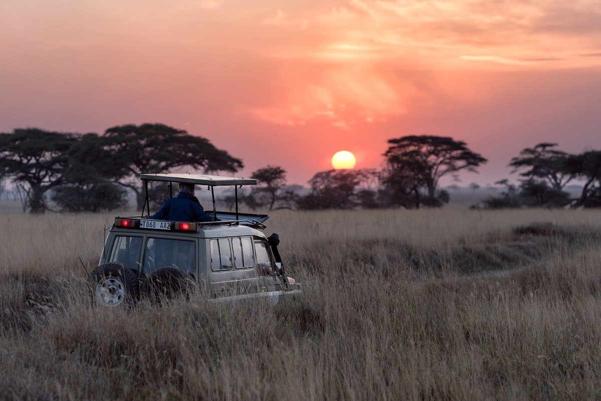 Serengeti Migration Safari